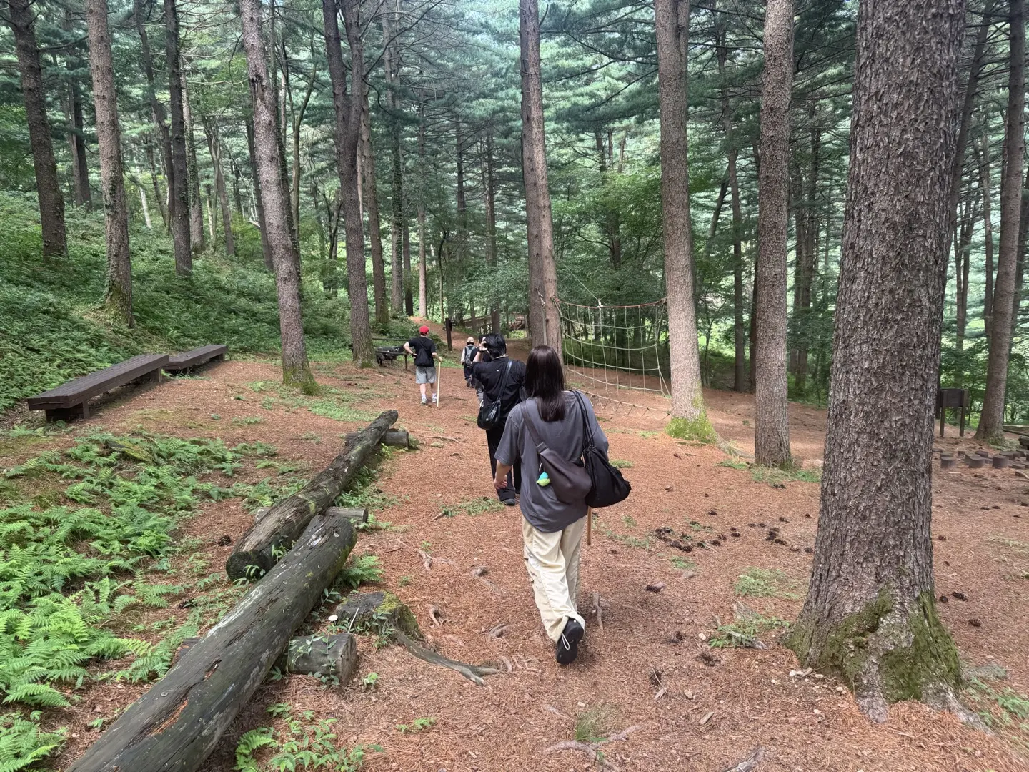 한탄강 힐링 코스 - 스트레스회복, 힐링여행, 자연치유 관광 코스 이미지