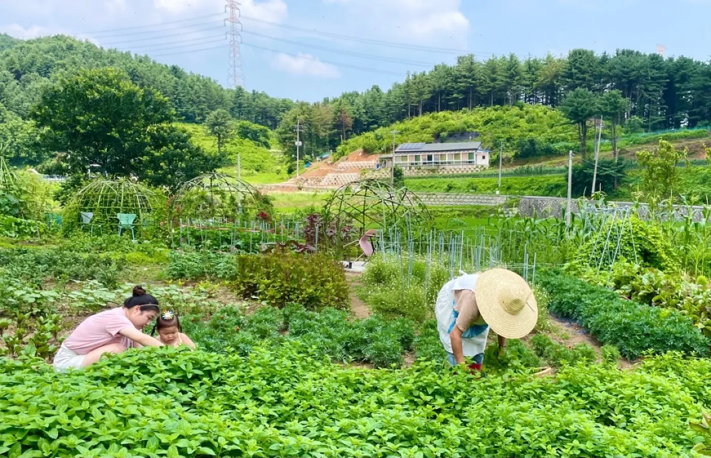 힐데루시자연치유 - 관람·체험 관련 체험장소 및 시설 이미지